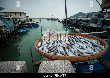 Pesce stabilite per essiccazione nel villaggio di pescatori Tai O, l'Isola di Lantau Foto Stock