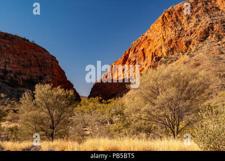 Simpsons Gap, West MacDonnells intervallo vicino Alice SpringsNorthern Territori, Australia Foto Stock
