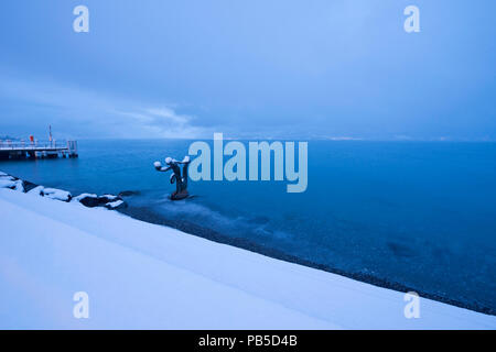 La Svizzera, Vaud e di Vaud, vue de Vevey, neige, Schnee, neve hiver, inverno, *** Caption locale *** Svizzera, Vaud, , vue de Vevey, neige, , neve, Foto Stock