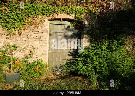 Luglio 2018 - La porta segreta, un over cresciuto giardino rurale porta Foto Stock