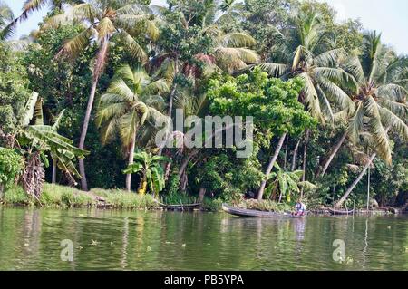 Panorama delle backwaters nelle zone rurali del Kerala (India) con palme, la natura incontaminata e piccole case & barche da pesca sulle vie navigabili che conduce a Kochi Foto Stock