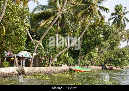 Panorama delle backwaters nelle zone rurali del Kerala (India) con palme, la natura incontaminata e piccole case & barche da pesca sulle vie navigabili che conduce a Kochi Foto Stock