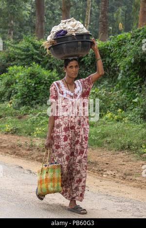 Naralapura, Karnataka, India - 1 Novembre 2013: giovane donna in marrone rossiccio bianco abito lungo porta vaso nero con biancheria di colore bianco sulla parte superiore della sua testa, Ba Foto Stock