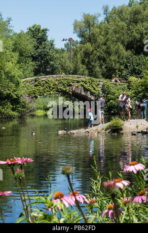 Lo stagno e Gapstow Bridge sono un luogo molto popolare nel Central Park di New York, Stati Uniti d'America Foto Stock