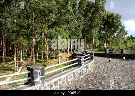 Viale alberato pedonale dal parcheggio al punto di osservazione al Black River Gorges National Park, Mauritius Foto Stock