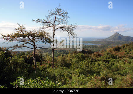 Vista panoramica presso il Tamarin Bay presso la costa occidentale di Mauritius con esso è circondato dalle montagne e colline Foto Stock