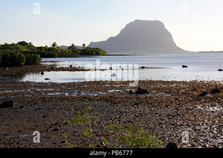 Mangrovie intorno al Le Morne Brabant penisola e la zona lagunare circostante alla punta sud-occidentale di Mauritius Foto Stock