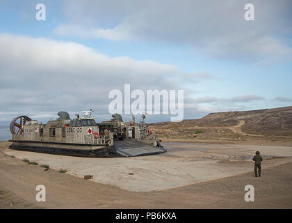 Marines con Marine Wing Support Squadron (MWSS) 373 e i marinai con assalto unità artigianali (ACU) 5, scaricare veicoli sull isola di San Clemente da Landing Craft Air, cuscino a sostegno dell esercizio furia estate 2018, at, California, 23 luglio. Estate Fury è progettato per aumentare la funzionalità e l'efficacia di 3 aeromobili Marina Wing aumentando al contempo la Marine Air-Ground Task Force navale e integrazione con i partecipanti Marine Expeditionary Force e di unità navali. (U.S. Fotografia marini da Cpl. Giacobbe Pruitt/rilasciato) Foto Stock