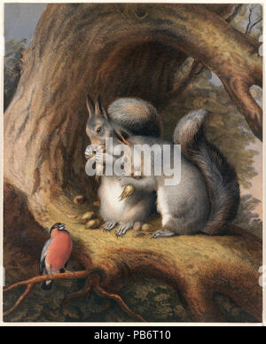 1703 gli scoiattoli e un uccello sotto un albero (Boston Public Library) Foto Stock