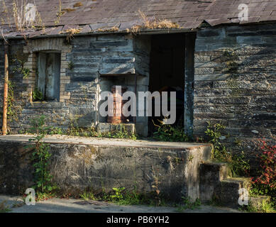 Rusty capre bidone di latte nel fienile Foto Stock