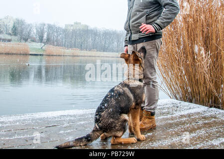 Un pastore tedesco cucciolo di cane un guinzaglio con il suo proprietario in un inverno ambiente urbano con nevicata Foto Stock