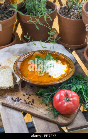 Tradizionale russo sour zuppa di cavolo (shchi) con panna acida e erbe su una tavola di legno con pane, pepe e prezzemolo Foto Stock