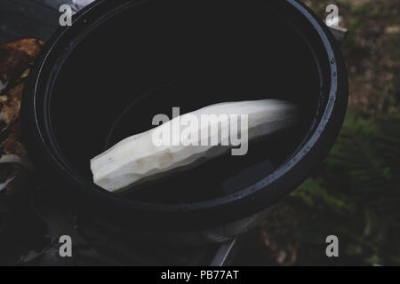 Manioca (Manihot esculenta) (spagnolo: "mandioca", Guarani: mandi'o), radici spellate nel recipiente all'aperto di Asuncion in Paraguay. Vintage tonica Foto Stock