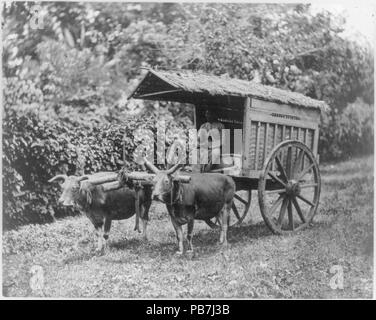 . Inglese: Titolo: Java - metodo di trasporto Abstract: fotografia mostra una due ruote di carro trainato da due bufali. Descrizione fisica: 1 stampa fotografica. Note: fa parte di: Frank e Francesca Carpenter Collection (Biblioteca del Congresso).; Pubblicato in: Punti di vista; una selezione dalla pittorica collezioni della Biblioteca del Congresso .... Washington : Library of Congress ..., 1975, n. 44.; titolo dalla voce. 828 Java - metodo di trasporto LCCN2007681322 Foto Stock