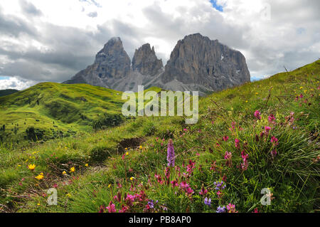 Sassolungo e Sassopiatto gamme della montagna come si vede dal Passo Sella su un nuvoloso pomeriggio. Dolomiti in Alto Adige, Italia. Foto Stock