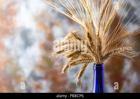 Bouquet di grano secco spikelets in bottiglia blu su sfondo vecchio Foto Stock