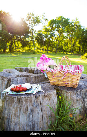 Picnic sulla natura Foto Stock