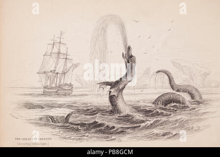 Incisione su rame di grande mare Mostro riportato da Hans Egede nel 1735. Dal naturalista della Biblioteca di Sir William Jardine. Questo mostro o secondo come riferito è stato avvistato al largo della costa della Groenlandia, ed è stato descritto come essendo più grande di tutta la nave. Foto Stock