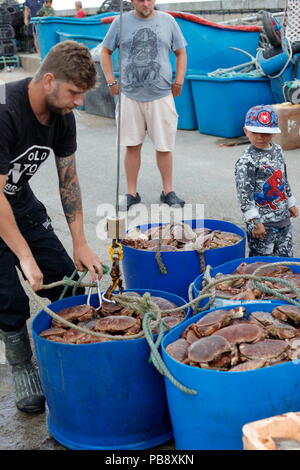 Newquay, Cornwall, Regno Unito. 27 Luglio, 2018. Granchio di mare i pescatori e i turisti ad interagire a Newquay Harbour. Così come il turismo, il porto è un attivo commerciale centro di pesca che alimenta i granchi e pesci di ristoranti locali. Credito: Nicholas Burningham/Alamy Live News Foto Stock