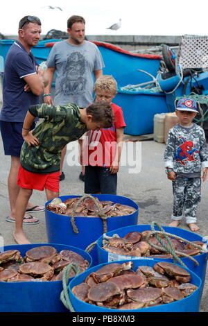 Newquay, Cornwall, Regno Unito. 27 Luglio, 2018. Granchio di mare i pescatori e i turisti ad interagire a Newquay Harbour. Così come il turismo, il porto è un attivo commerciale centro di pesca che alimenta i granchi e pesci di ristoranti locali. Credito: Nicholas Burningham/Alamy Live News Foto Stock