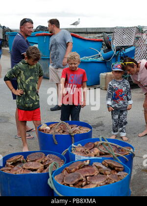 Newquay, Cornwall, Regno Unito. 27 Luglio, 2018. Granchio di mare i pescatori e i turisti ad interagire a Newquay Harbour. Così come il turismo, il porto è un attivo commerciale centro di pesca che alimenta i granchi e pesci di ristoranti locali. Credito: Nicholas Burningham/Alamy Live News Foto Stock