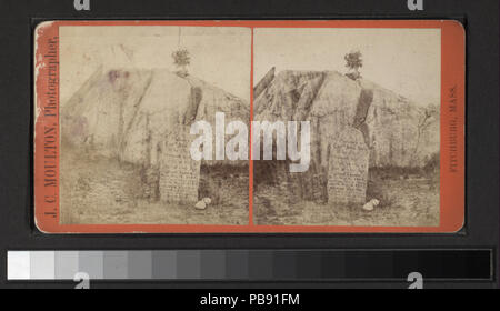 836 John Brown's grave a nord Isola d'Elba, N.Y (NYPL B11708219-G91F094 049 - F) Foto Stock