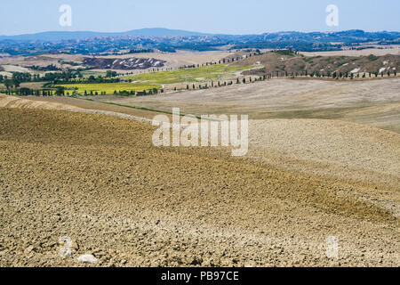 A San Quirico d'Orcia - Italia - su 08/30/2012- paesaggio delle crete senesi in estate Foto Stock