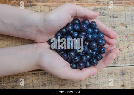 Handsl pieno con congelate di bacche di Aronia su legno tavolo rustico con bicchiere di succo chokeberry Foto Stock
