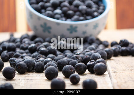 Bianco fuoriuscito ciotola piena con congelate di bacche di Aronia su legno tavolo rustico Foto Stock