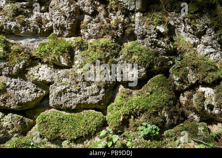 Weathered e moss-coperta parete di pietra calcarea, Tuttlingen distretto, Baden-Württemberg, Germania Foto Stock