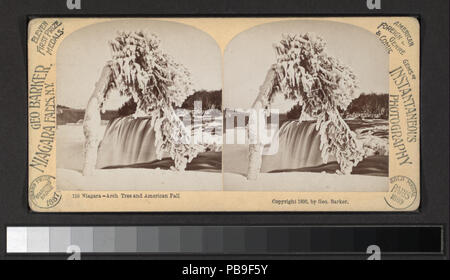 1099 Niagara, Arch Tree e American caduta (NYPL B11707602-G90F395 314F) Foto Stock