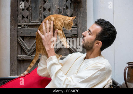 Giovani Musulmani uomo tenendo un gatto giallo di fronte ad una parete decorata Foto Stock