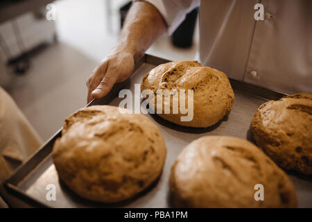 Chiusura del pane appena sfornato su un vassoio da forno nella mano di un panettiere. Uomo che si muove un vassoio di pane appena sfornato in una panetteria. Foto Stock