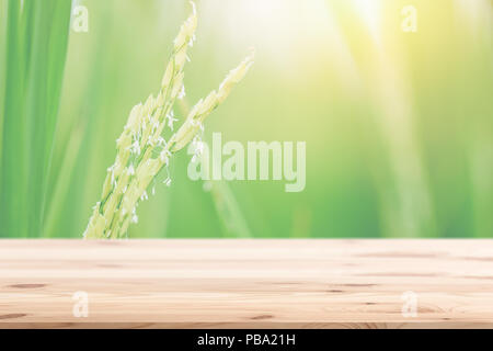 Campo di riso con un tavolo di legno in primo piano verde per alimenti puliti background design naturale Foto Stock