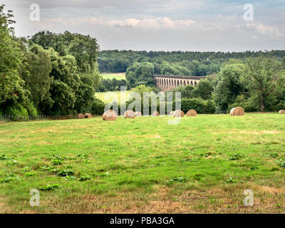 La Valle Crimple viadotto in estate vicino a Pannal Harrogate North Yorkshire, Inghilterra Foto Stock