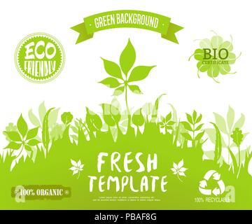 100% organico, eco friendly, bio certificato, etichette riciclabili.verde bosco silhouette sullo sfondo. Banner di vettore, brochure o un modello di pagina web. Gree Illustrazione Vettoriale