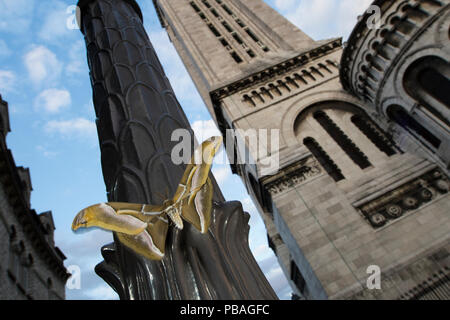 Ailanthus silkmoth (Samia cynthia) una specie introdotta, presa durante il giorno vicino al Sacre Coeur, Parigi, Francia, settembre Foto Stock