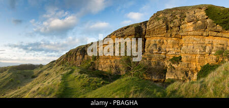 Calcare la geologia e la campagna al Cleeve Hill sul bordo del Costwold, Gloucestershire, UK. Immagine panoramica. Maggio 2015. Foto Stock