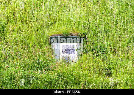 Primo piano della finestra della famosa chiesa di tappeto erboso Hofskirkja vicino a Hof, Islanda sul tetto con erba verde, vetro pannello in legno Foto Stock