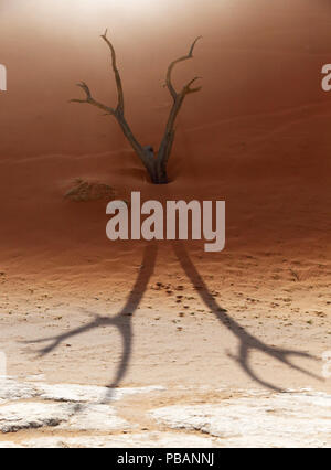 Un cammello morto thorn tree che assomiglia a una spettrale figura umana è consumato da una duna di sabbia, creando un'ingenua scena. Deadvlei, Namibia. Foto Stock