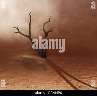 Un cammello morto thorn tree è consumato da una duna di sabbia, colata di una lunga ombra. Deadvlei, Namibia. Foto Stock