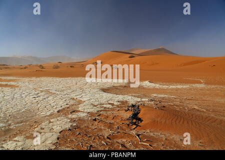 Big Daddy, a 325m la più alta duna di sabbia nel mondo, Namib Desert, Namibia. Foto Stock