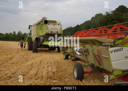 La raccolta di frumento: l'estate del 2018 e le colture di Pas-de-Calais sono quindici giorni di anticipo rispetto al normale, una raffica di attività deriva per raccogliere il grano Foto Stock