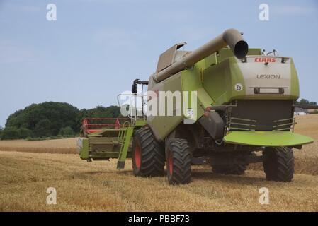 La raccolta di frumento: l'estate del 2018 e le colture di Pas-de-Calais sono quindici giorni di anticipo rispetto al normale, una raffica di attività deriva per raccogliere il grano Foto Stock