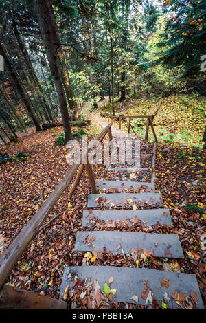 Sentiero frondoso da Sokolica picco in Pieniny mountains, Polonia Foto Stock