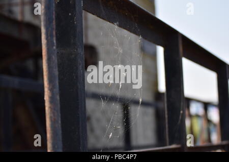 Spider Web sul corrimano Foto Stock