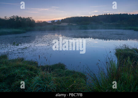 Piscina Mineries quasi all alba Priddy Mineries in Mendip Hills, Somerset, Inghilterra. Foto Stock