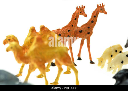 Toy giraffe, cammelli e mucche da un'annata l'Arca di Noè giocare insieme, fotografato su uno sfondo bianco. Foto Stock