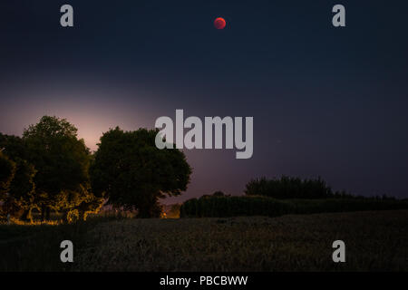 Luna di sangue 2018: l'eclissi lunare totale e il pianeta Marte il 27 luglio 2018. Paesaggio notturno con alberi e retroilluminazione. Foto Stock