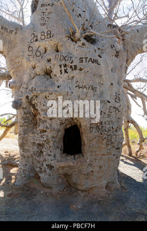 Outback zone umide, Wyndham, Kimberley, Northwest Australia Foto Stock